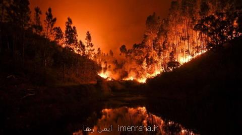 آتش سوزی در جنگل های فرانسه