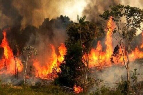 آتش سوزی در مراتع و جنگل های شمال دامغان اطفا شد