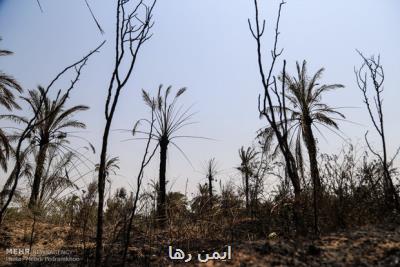 جزئیات آتشسوزی گسترده در اهواز