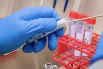 ۵۵ هزار تست pcr از مسافران در مرزها گرفته شد