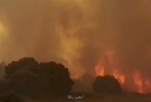 آتش سوزی های جنگلی در الجزایر ۴۲ کشته برجای گذاشت
