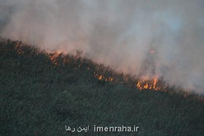 آتش همچنان بر جان تالاب زبانه می کشد