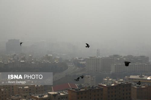 اهمال نکرده ایم