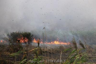 وقوع آتشسوزی در منطقه گردشگری بنو پارسیان
