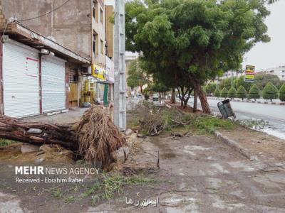 تشکیل اردوگاه های اسکان اضطراری در شهرستان فارس