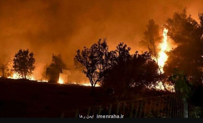 نکاتی که باید درباره حریق جنگل و فضای سبز بدانیم