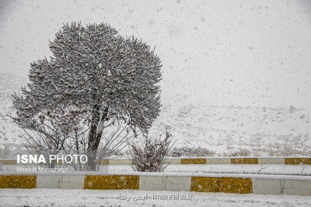 آخرین وضعیت استانها زیرباران و برف