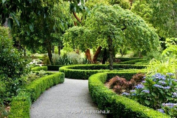 فضای سبز شهری نجات دهنده جان انسان های بیشتر
