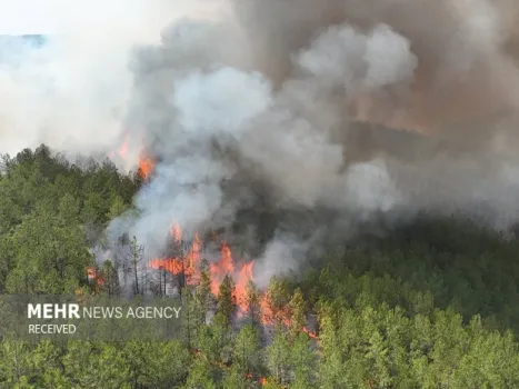 آتشسوزی گسترده در جنگل های چالوس و مرزن آباد