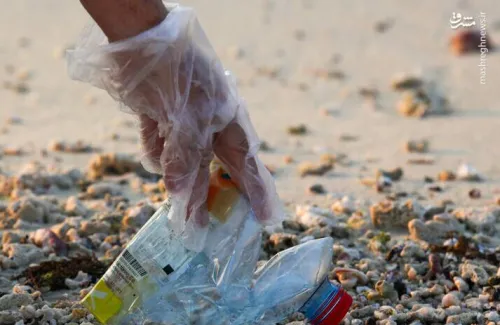 عکس، پاکسازی سواحل کیش