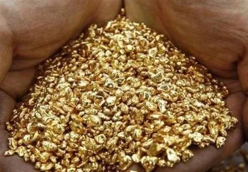 سرقت نیم کیلو طلا با همدستی پسر خانواده