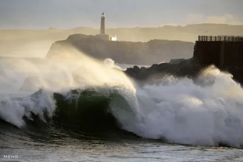 موج قدرتمند در تنریف اسپانیا 4 کشته برجای گذاشت