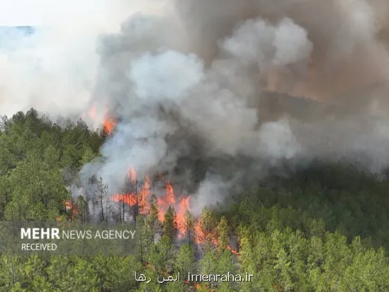 آتشسوزی گسترده در جنگل های چالوس و مرزن آباد