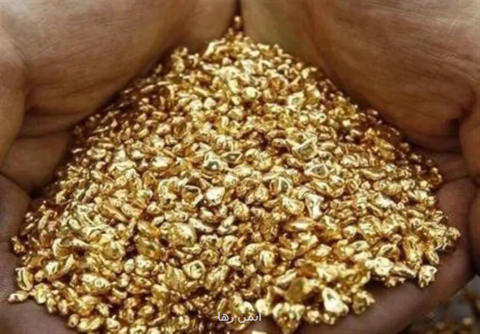 سرقت نیم کیلو طلا با همدستی پسر خانواده