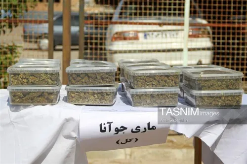 دستگیری عامل تشویق جوانان به مصرف مواد مخدر
