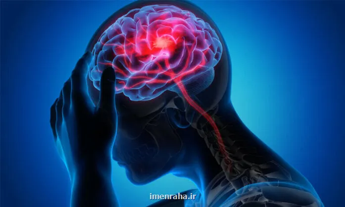 سه عادت در میانسالی که از مغز شما محافظت می کنند