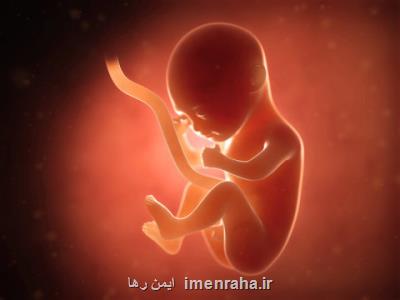 دستگیری مردی كه فرزندش را در شكم همسرش كشت