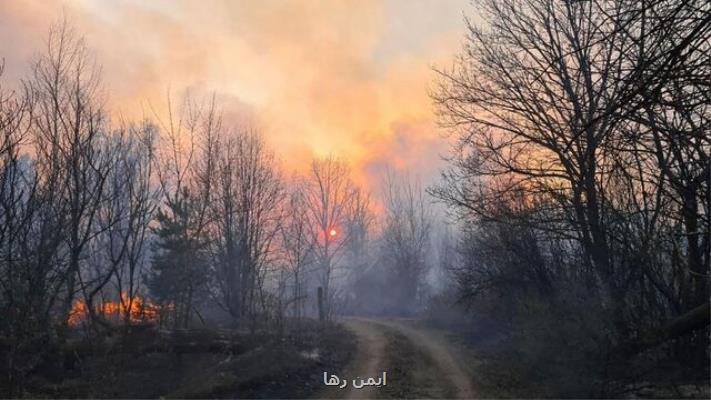 آتش سوزی در جنگل های لوهانسك اوكراین قربانی گرفت