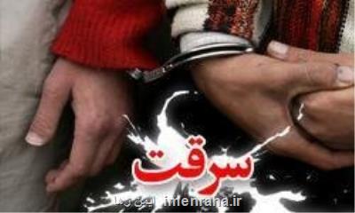 افزایش 17 درصدی كشفیات سرقت در فارس